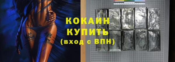 дмт Новозыбков