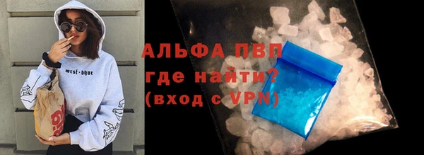 спиды Нефтекумск