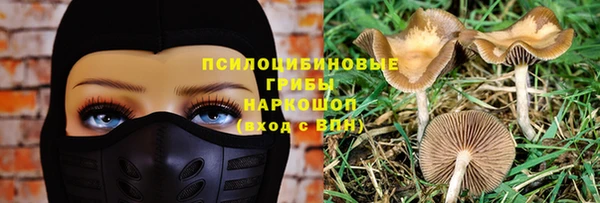 спиды Нефтекумск