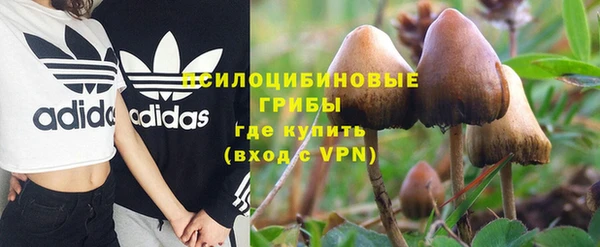 прущий лед Нея