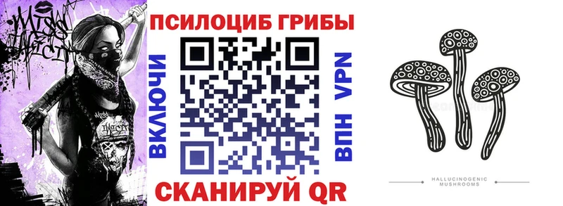 Псилоцибиновые грибы мухоморы  kraken вход  Кирс 